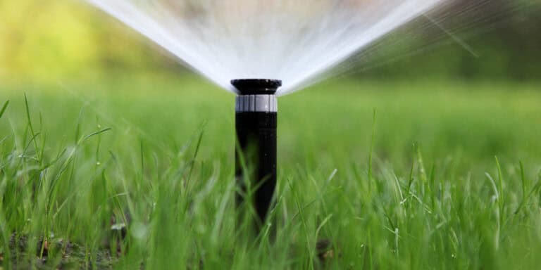 watering grass in florida