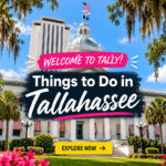 welcome to tally