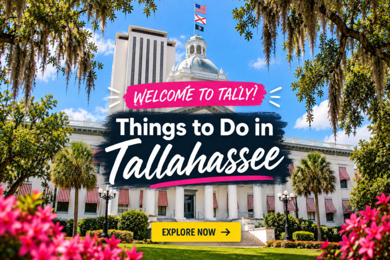 welcome to tally