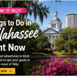 welcome to tally