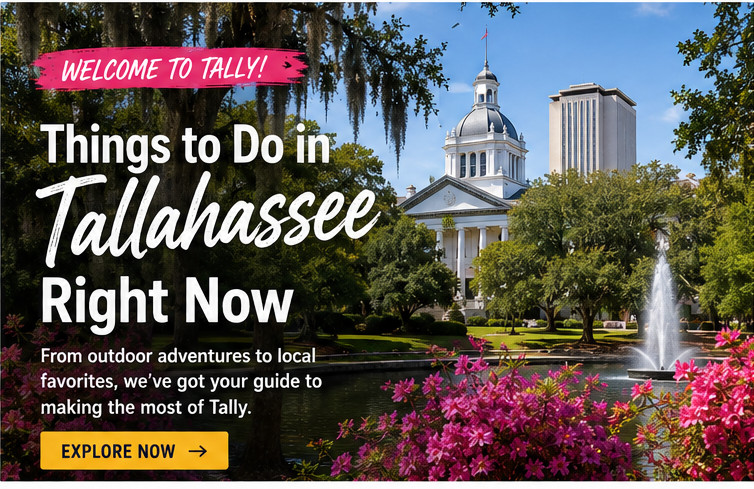 welcome to tally